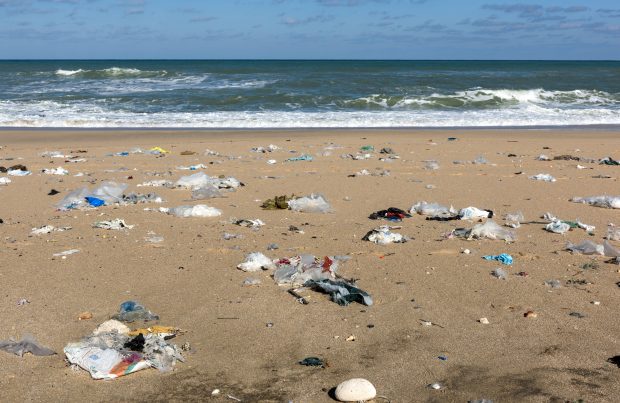 People cleaning at a beach